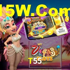 Programa VIP T55