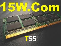 Premium Interface T55